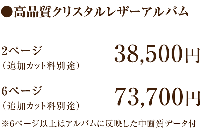 高品質クリスタルレザーアルバム